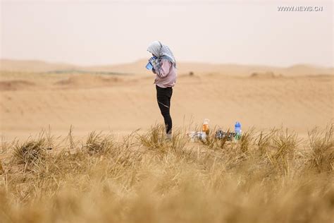 Desertification Control Team Works Along First Desert Highway In