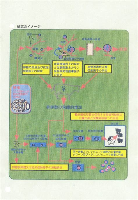 生物系特定産業技術研究支援センター新技術・新分野創出のための基礎研究推進事業 農研機構