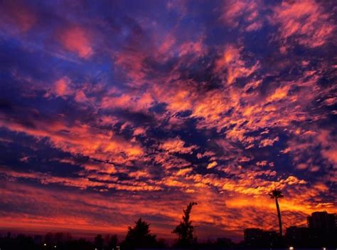 Sunset Dreams Domestika