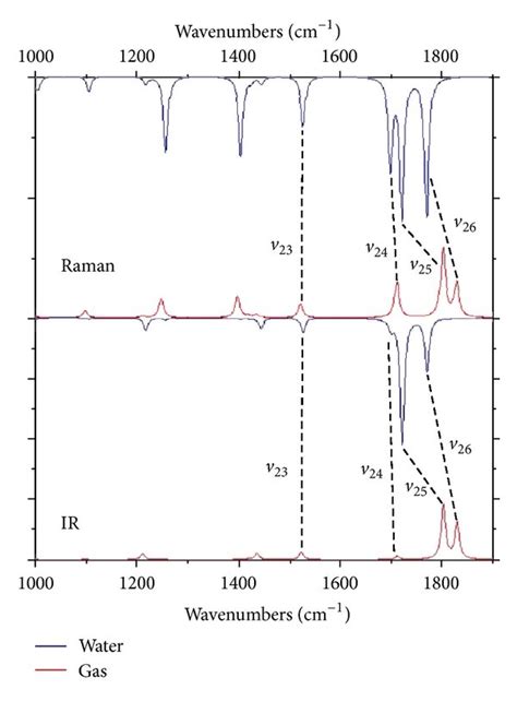 Ir And Raman Spectra Of Uracil In Gas And Water Solution In The