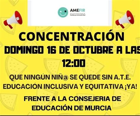 AMEFIR se manifiesta este domingo a las puertas de Educación para que