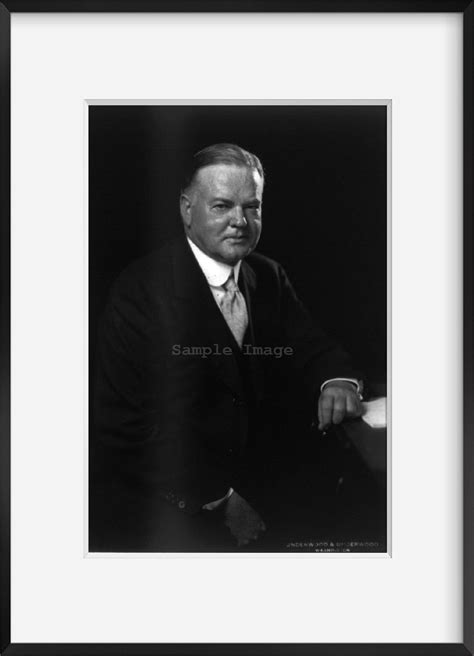 Photo Herbert Clark Hoover 1874 1964 31st President Of The US