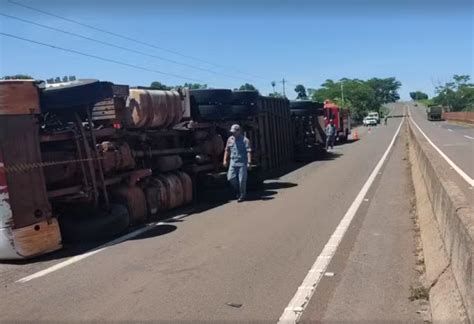 Carreta 90 Garrotes Tomba E Deixa Animais Presos Na Euclides Da