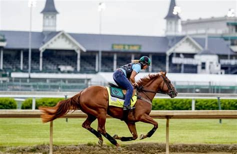 Vicki Oliver aims to be first female trainer to win Kentucky Derby