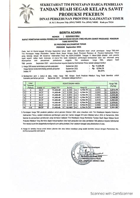 Informasi Harga Tbs Kelapa Sawit Bagi Pekebun Bermitra Bulan September