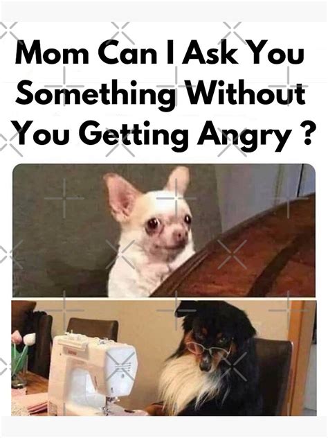 10+ Angry Dog Meme That Hilarious - blackvelvetpets