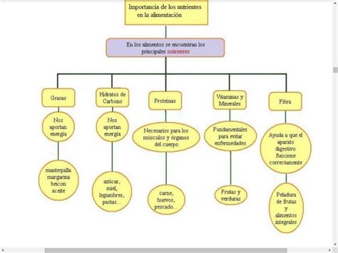 Elabora Un Organizador Gr Fico En El Que Se Resuma La Importancia De A