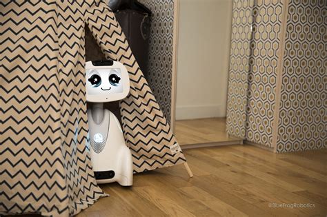 Buddy Social Companion Robot Oz Robotics