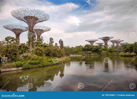 Viste Panoramiche Dei Giardini Botanici A Singapore Fotografia Stock