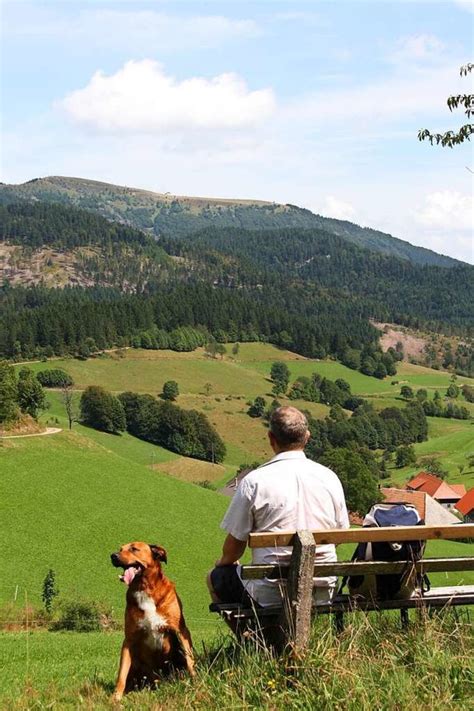 Wanderung Von Der K Lbelescheuer Richtung Nonnenmattweiher M Nstertal