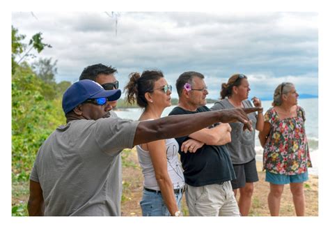 Daintree Rainforest Private Tour Walkabout Cultural Adventures