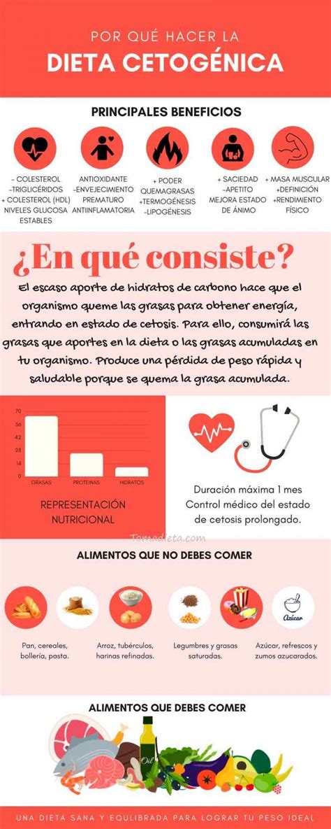 ¿qué Es La Dieta Cetogénica O Dieta Keto Guía Completa Dieta