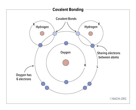 Covalent Bonding - Inspection Gallery - InterNACHI®