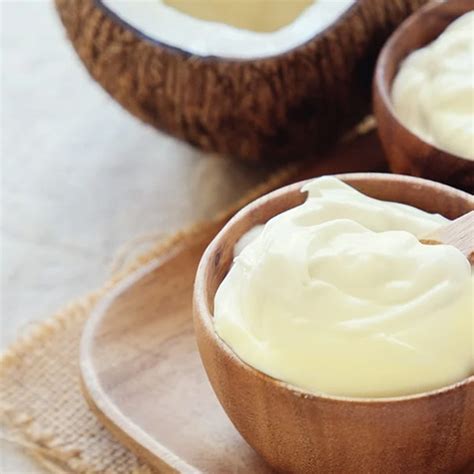 Cream of Coconut - HOLISTA