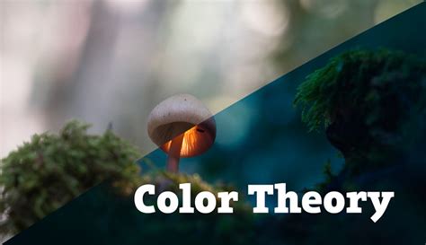 The Ultimate Guide for Color Theory for Photography: Photo Editing and ...