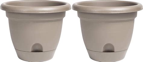 Amazon Bloem Lp Lucca Self Watering Planter W Saucer