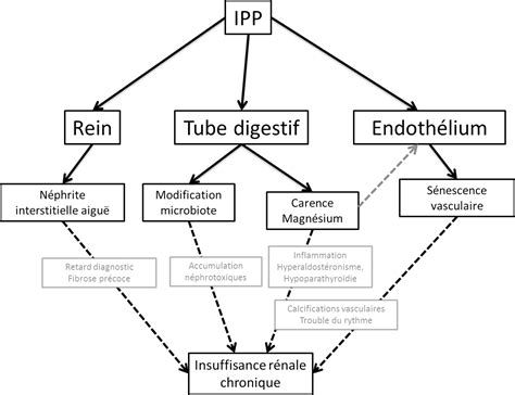 JLE Néphrologie Thérapeutique Inhibiteurs de la pompe à protons