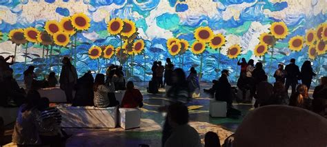 Van Gogh El Sue O Inmersivo Llega A La Ciudad