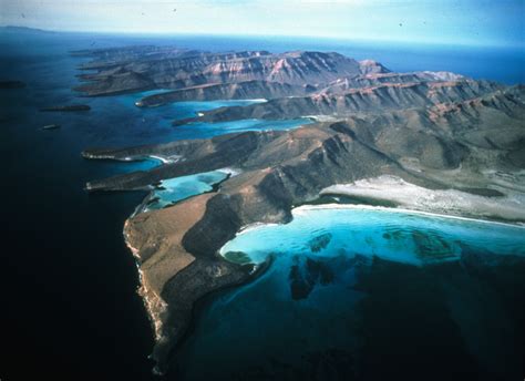 Cabo Pulmo Esperanza Para Los Arrecifes De Coral Smithsonian Ocean