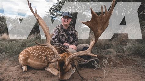 Pending New World Record Fallow Deer Youtube