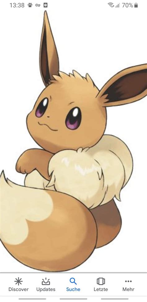Evoli | Wiki | Tierwelt Amino