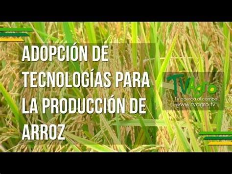 Tv Agro Te Acerca Al Campo Adopci N De Tecnolog As Para La Producci N