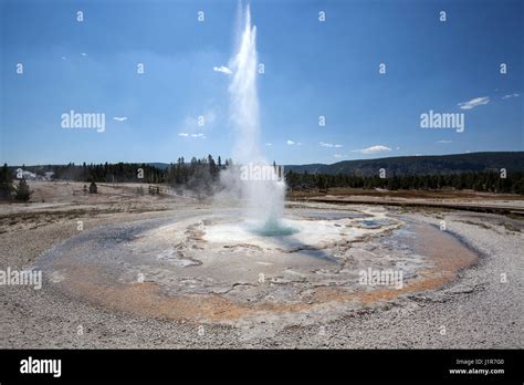 Sawmill Geyser Upper Geyser Basin Yellowstone National Park Wyoming