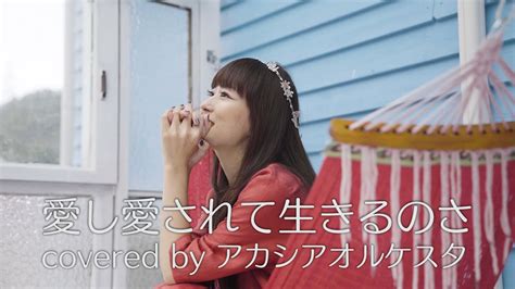 愛し愛されて生きるのさ 小沢健二 Covered By アカシアオルケスタ Youtube