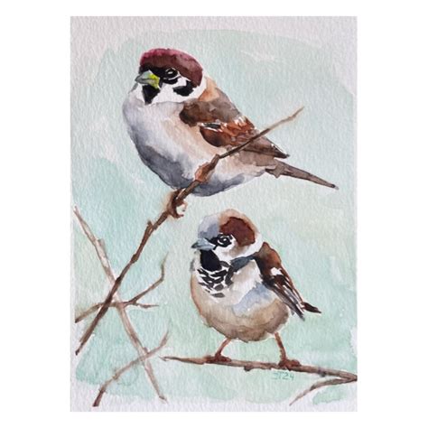 Sparrow Original Watercolor Painting Sparrow Watercolor Small Artwork