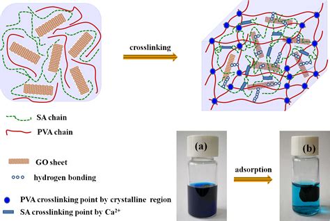 Polymers Free Full Text Graphene Oxide Reinforced Alginate Pva