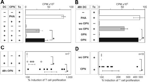 OPN Stimulated DCs Exhibit Enhanced T Cell Allostimulatory Capacity