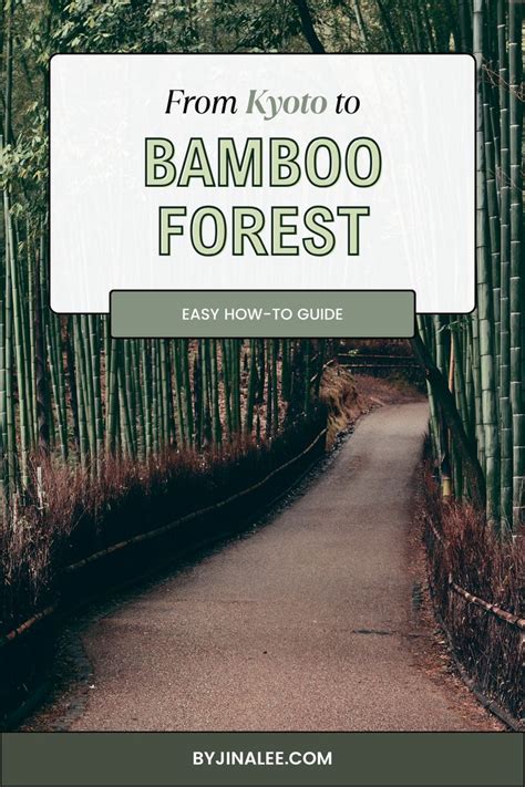 Your Guide From Kyoto To Arashiyama Bamboo Forest Bamboo Forest