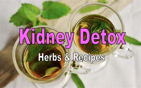 15 Best Kidney Detox Herbs And Recipes