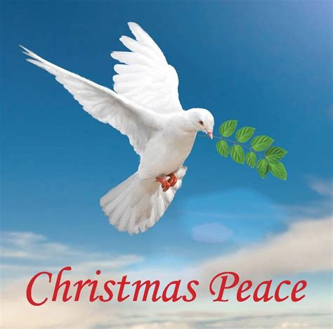 Christmas Peace CC172