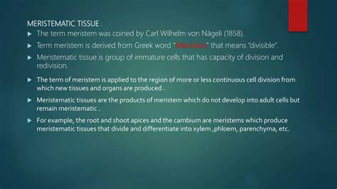 Meristematic tissue types and classification. | PPT