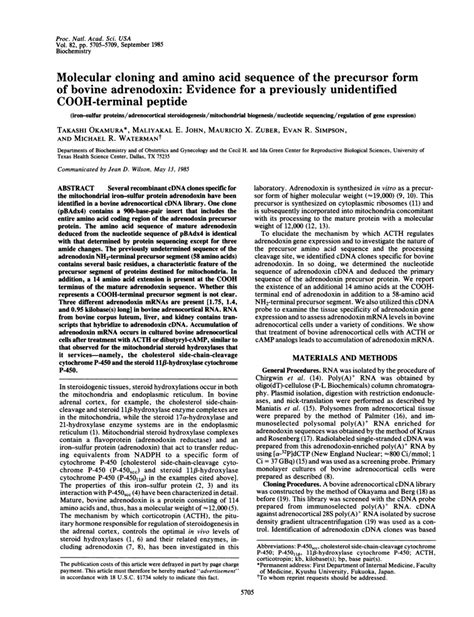 PDF Molecular Cloning And Amino Acid Sequence Of The Precursor Form