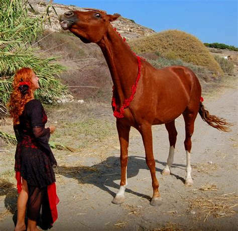 Недовольство вашей лошади