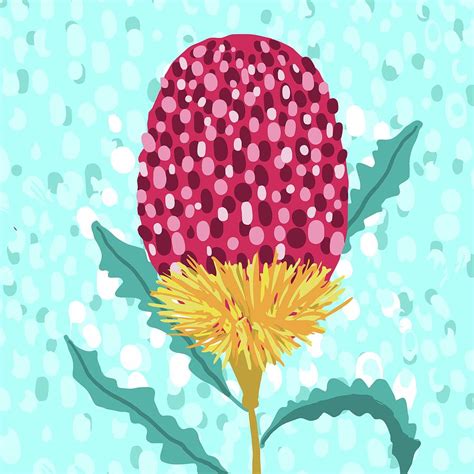 Modern Australian Banksia illustration Mixed Media by Annette Winter