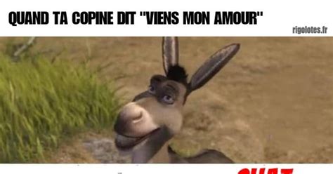 QUAND TA COPINE Blagues et les meilleures images drôles