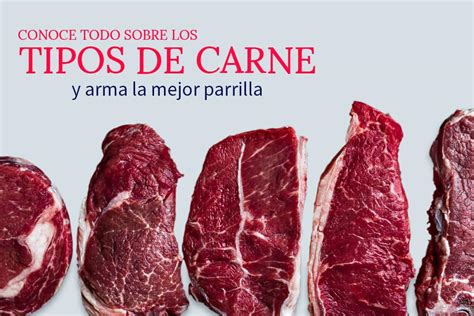 Top 5 De Los Cortes De Carne Más Famosos Nortedigital Hot Sex Picture