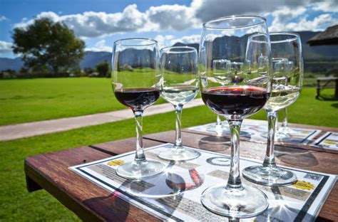 Wine And Culinary Experience Archives S Cape Tourism Route Helderberg