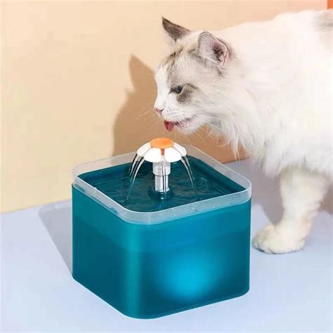 Automatischer Katzen Wasser Brunnen Mit L Kapazit T Und Led