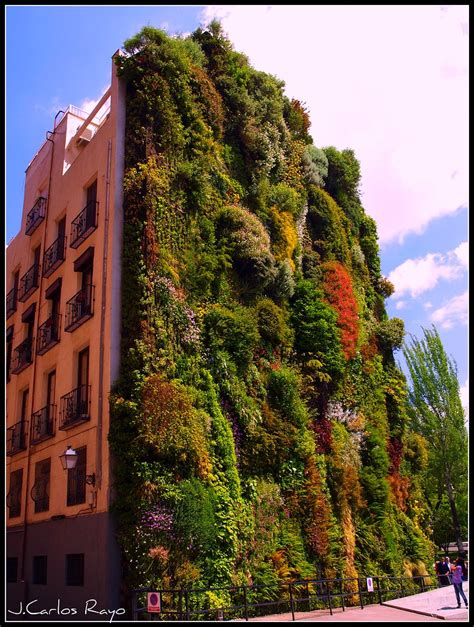 Jardin Vertical Madrid Collection De Photos De Jardin