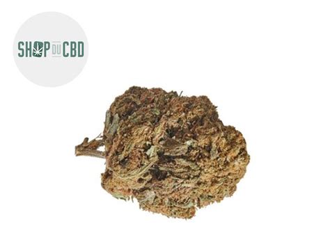 Ak Cbd Shop Du Cbd Cannanews Fr