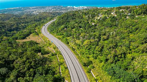 Fern Gully: Natural Attraction in Jamaica | BEACHES