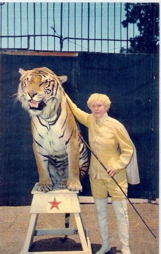 Mabel Stark She Was A Widely Recognized Wild Cat Trainer Who Began In