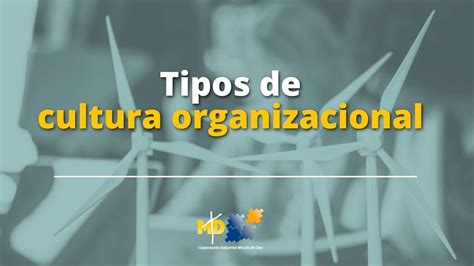 Tipos De Cultura Organizacional Youtube