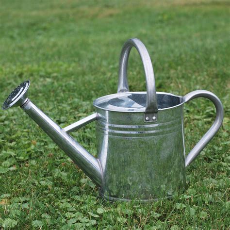 Gardener Select Gsaw3003p6g 3 5 Liter Watering Can Galvanized