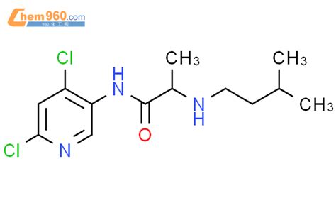 Propanamide N Dichloro Pyridinyl Methylbutyl