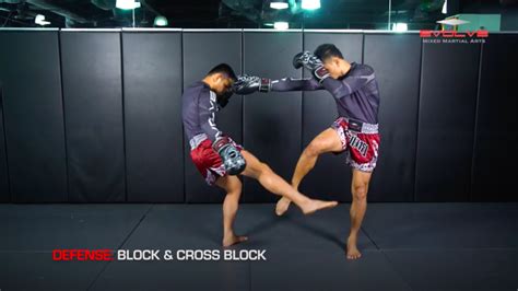 3 Ways To Defend A 1-2-Low Kick Combination - Evolve University ...